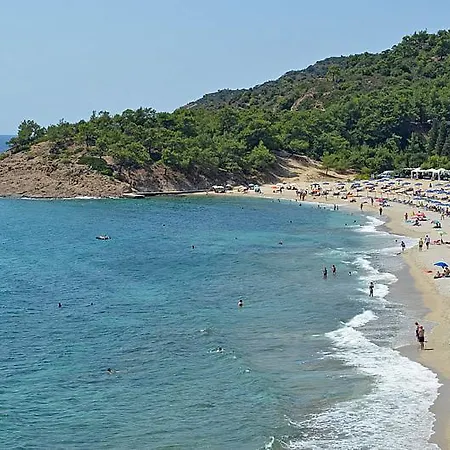 Ermioni Fresh Limenaria (Thasos)